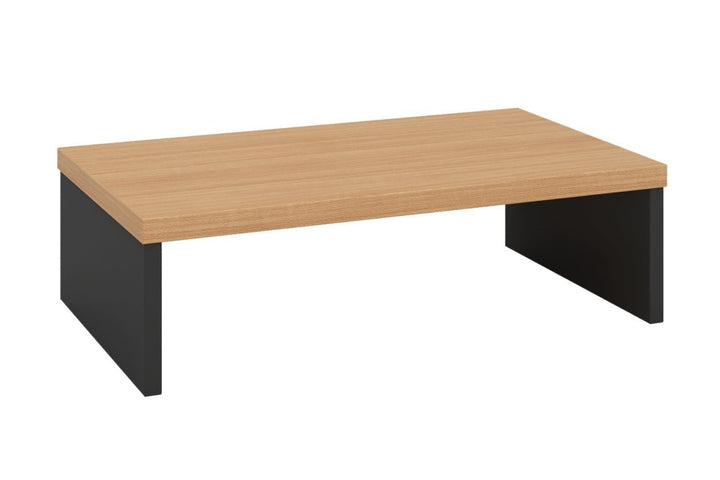 Corporate Monitor Riser