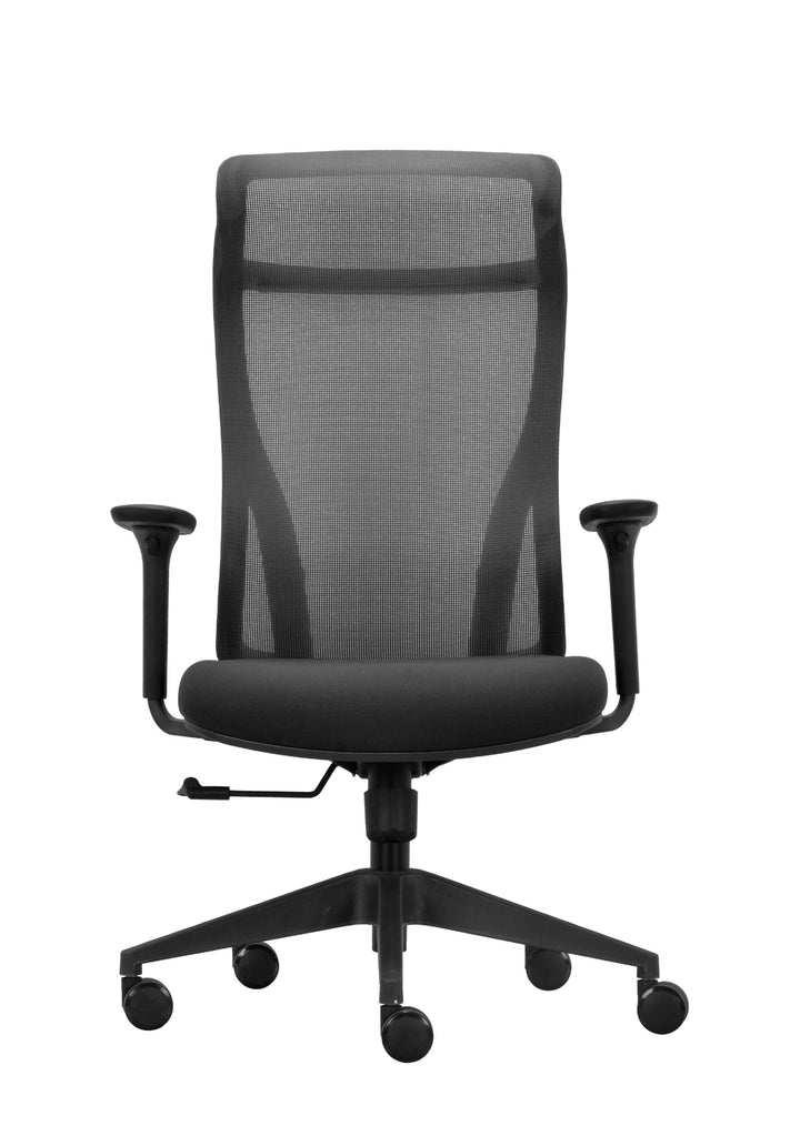 Everest Ergonomic Mesh Executive Office Chair