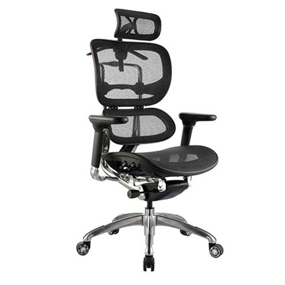 Ergo-1 High Back Executive Ergonomic Office Mesh Chair Black