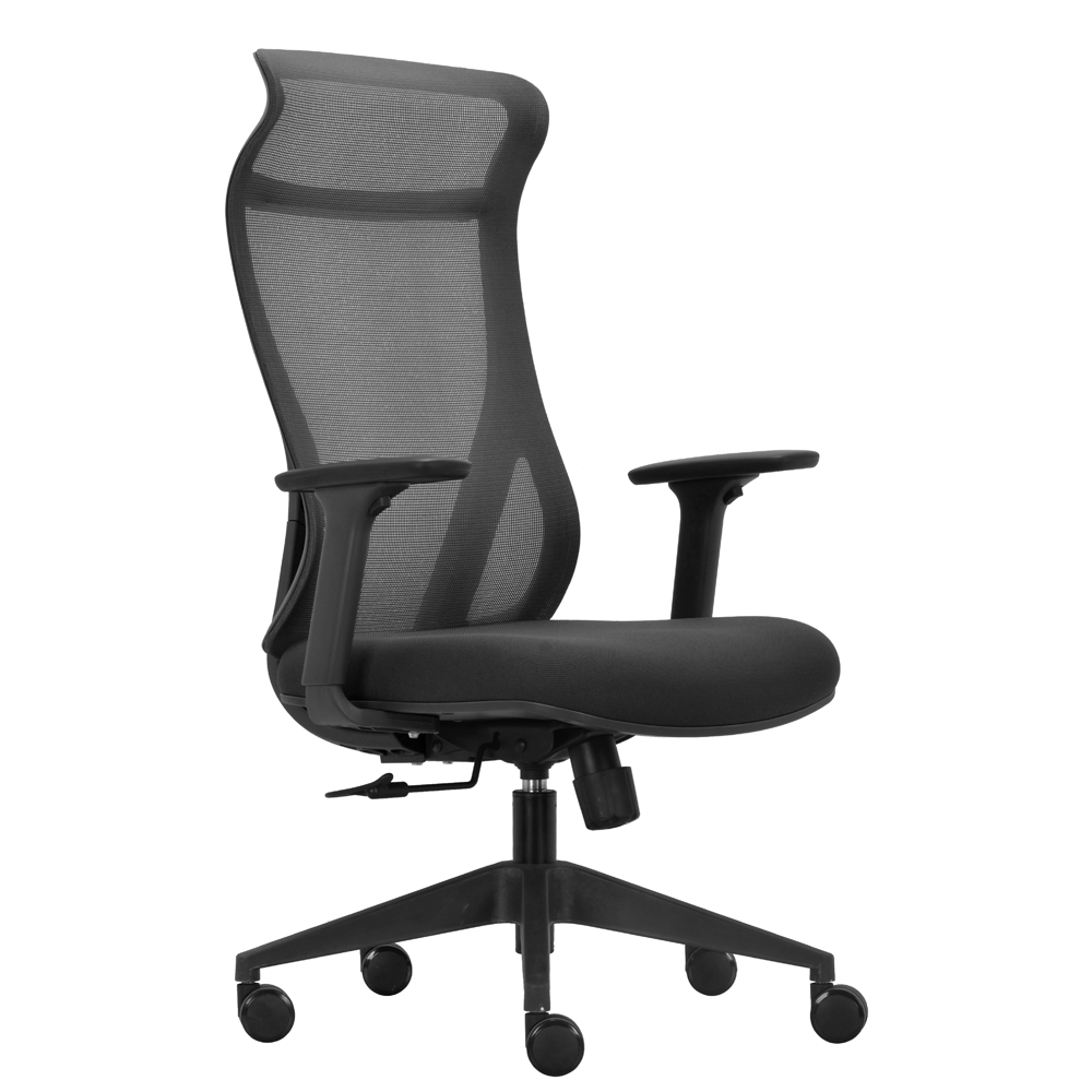 Everest Ergonomic Mesh Executive Office Chair