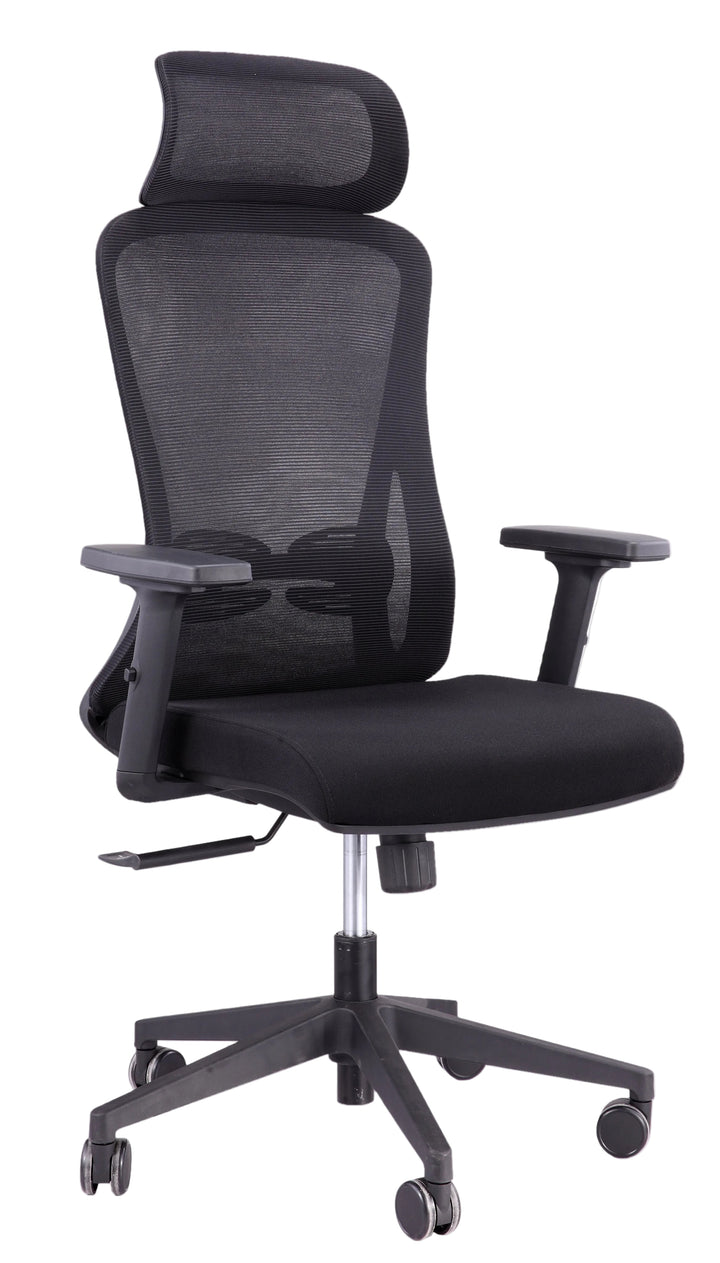 Alpha Ergonomic Gaslift Mesh Chair