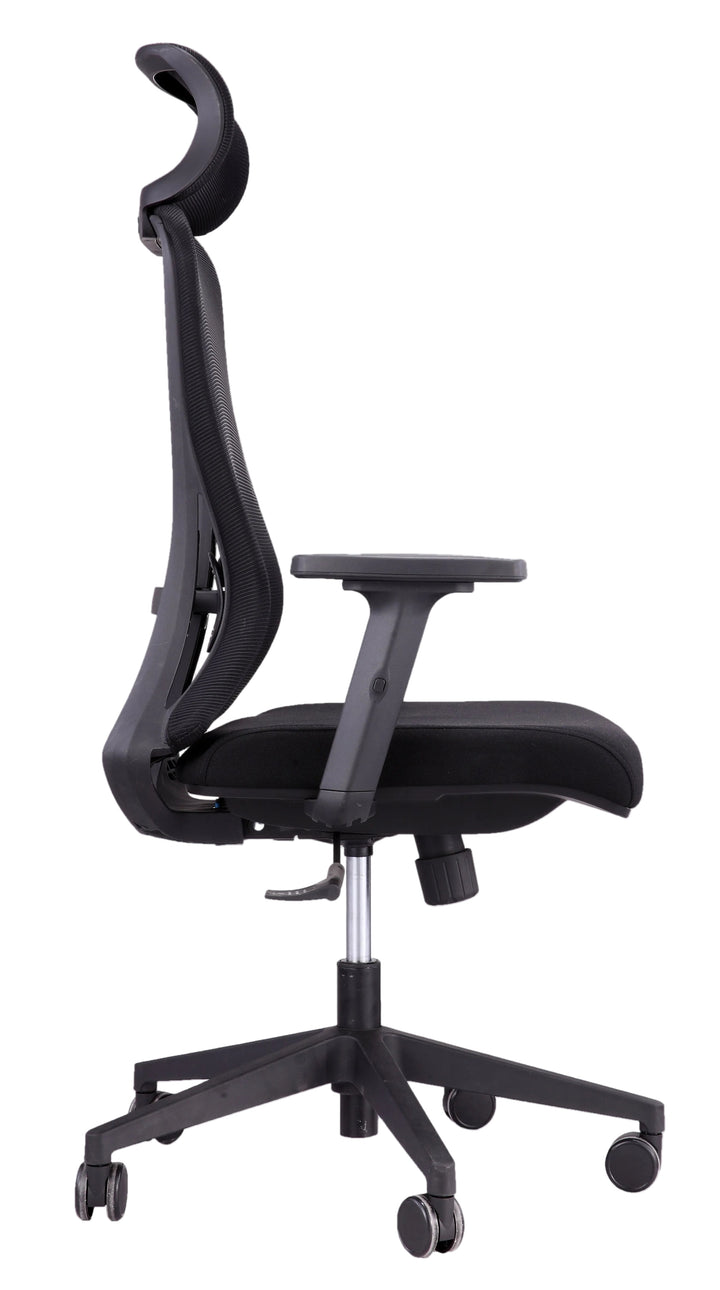 Alpha Ergonomic Gaslift Mesh Chair
