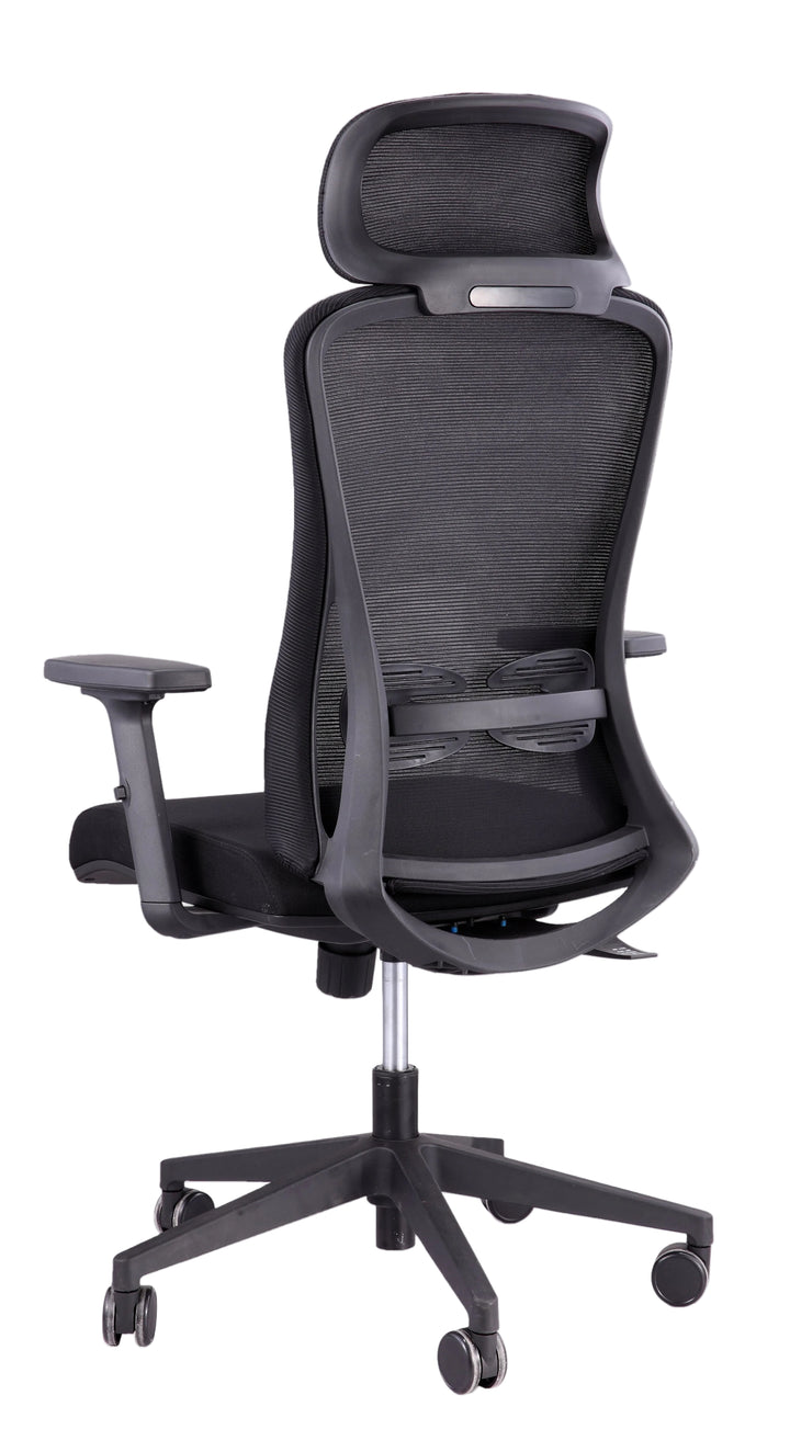 Alpha Ergonomic Gaslift Mesh Chair