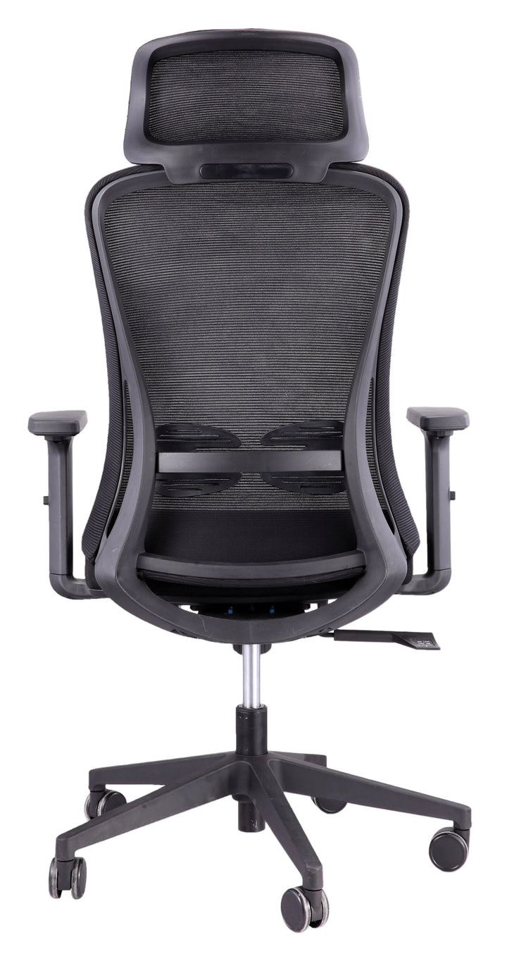 Alpha Ergonomic Gaslift Mesh Chair