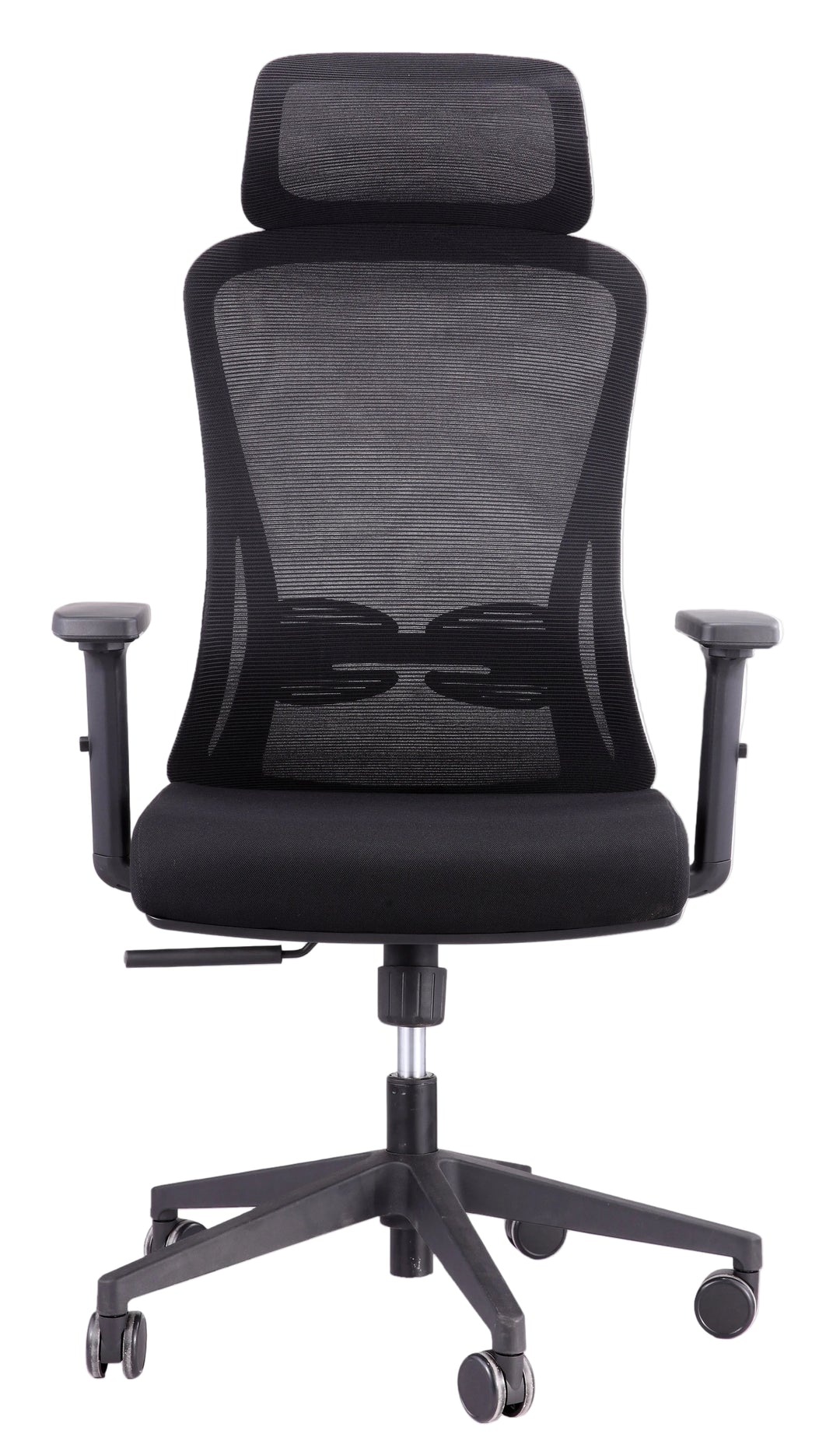 Alpha Ergonomic Gaslift Mesh Chair