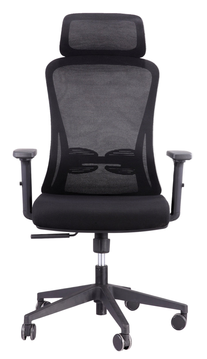 Alpha Ergonomic Gaslift Mesh Chair