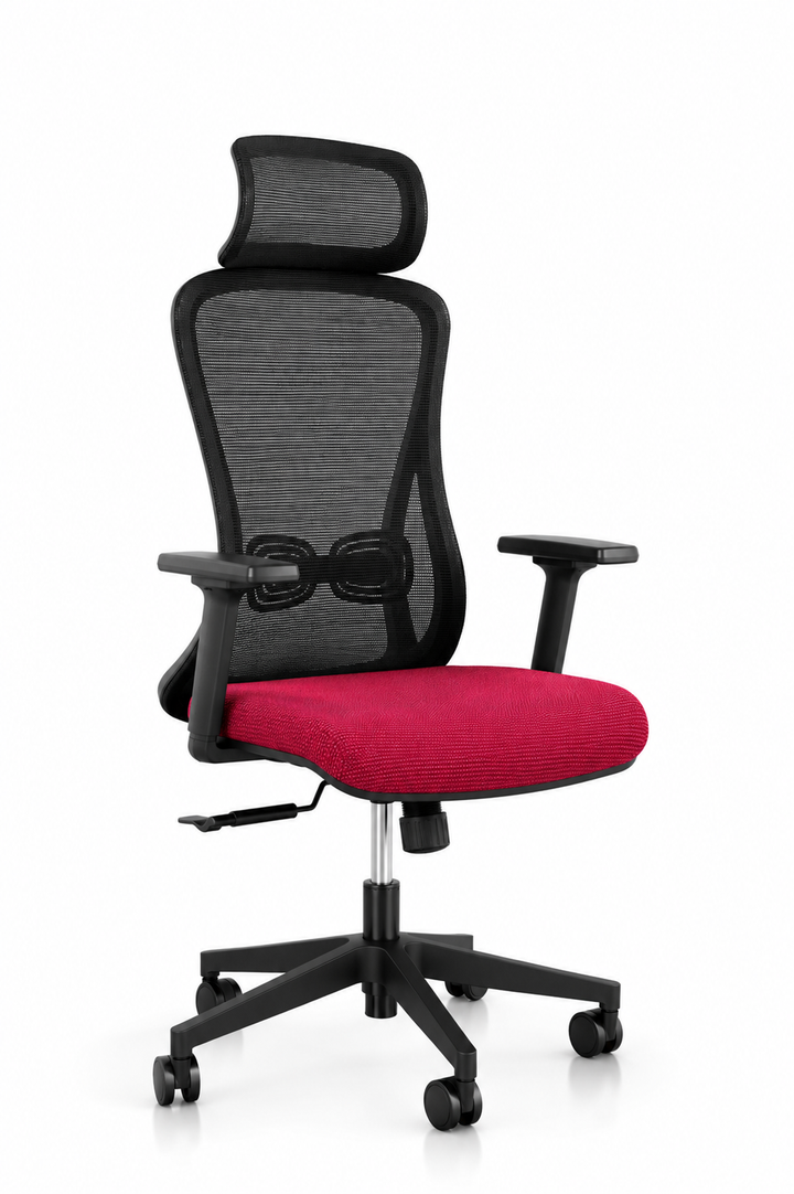 Alpha Ergonomic Gaslift Mesh Chair