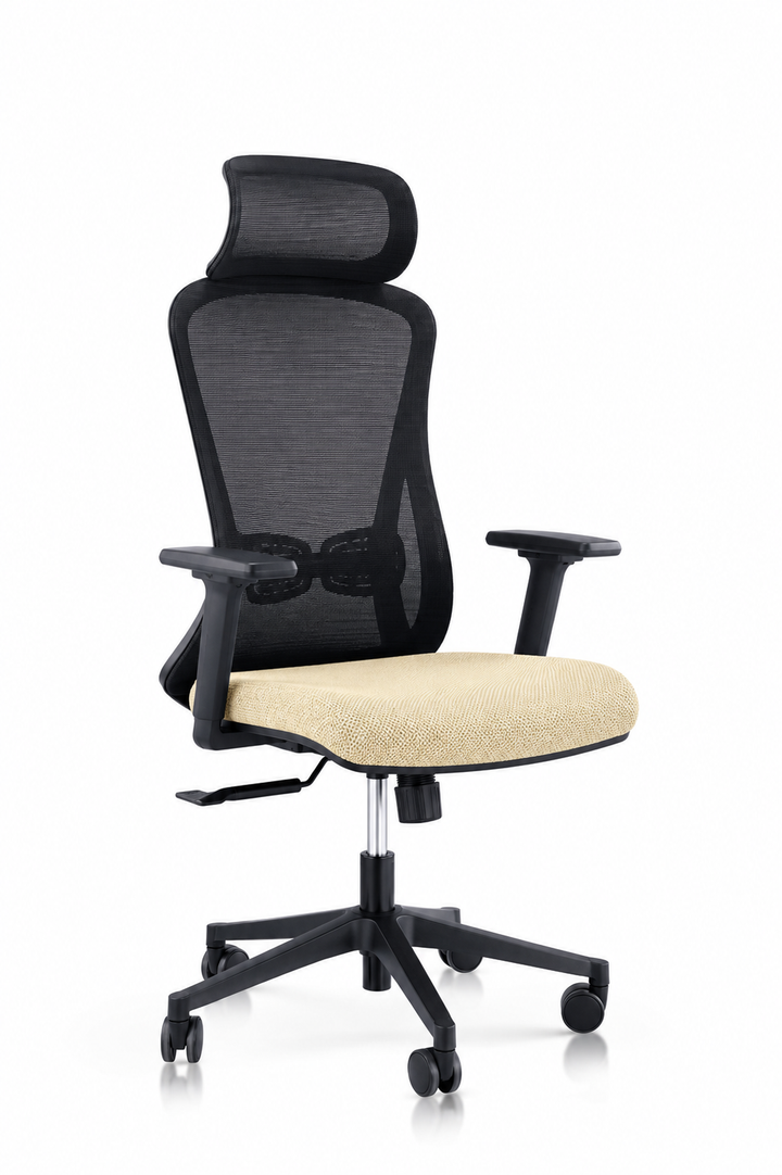 Alpha Ergonomic Gaslift Mesh Chair