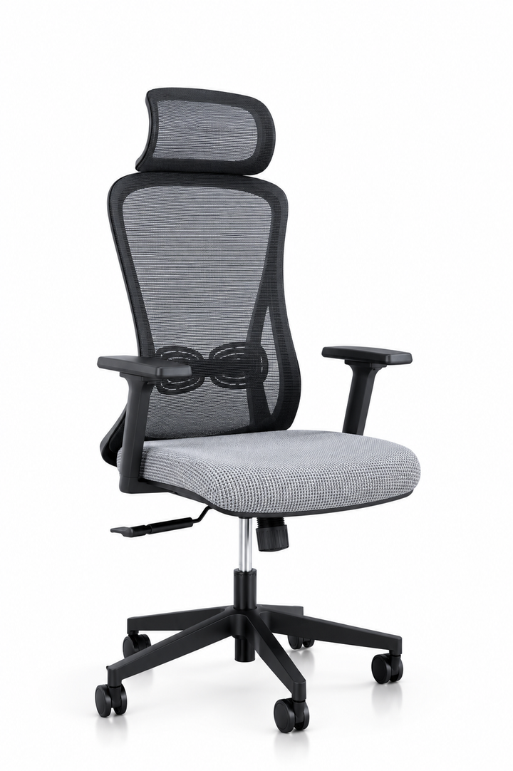 Alpha Ergonomic Gaslift Mesh Chair