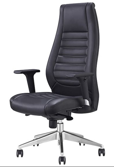Boston Ergonomic Executive Office Chair