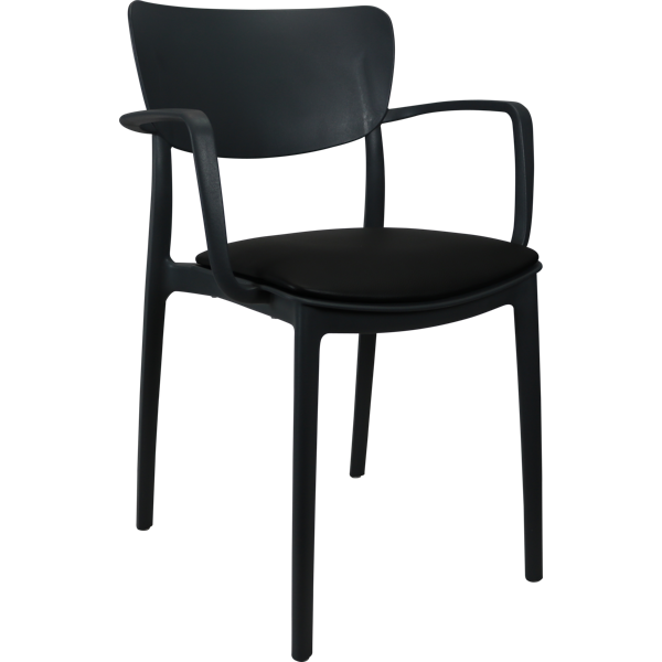 Siesta Lisa Arm Chair - Anthracite with Black Vinyl Cushion