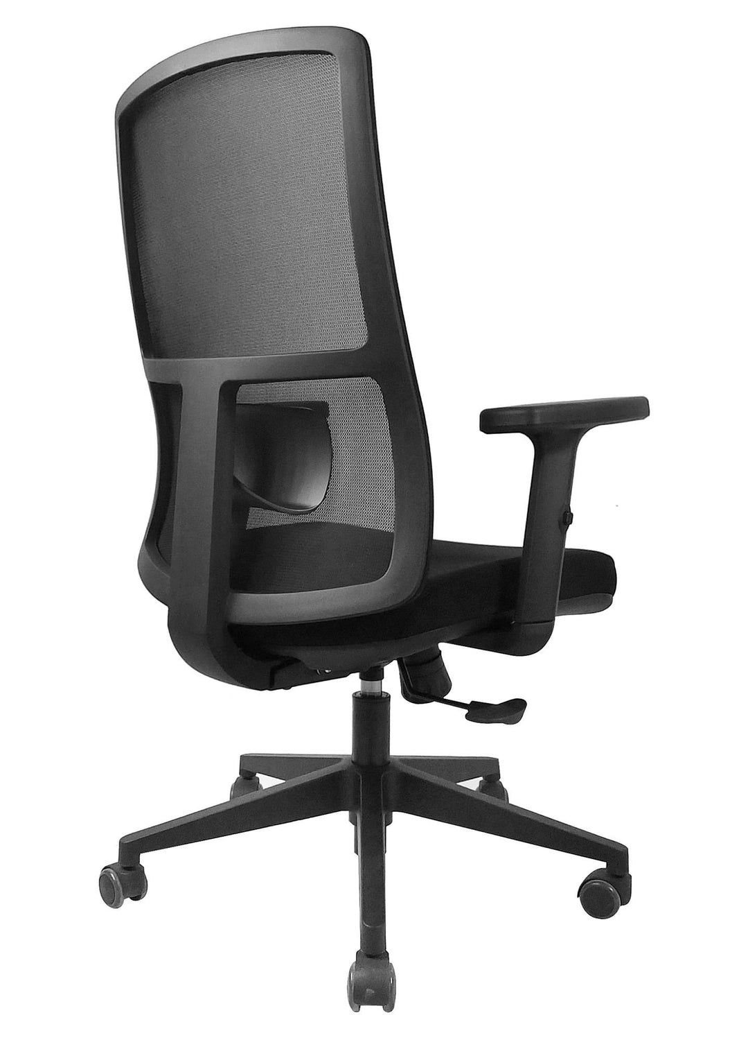 Mars Ergonomic Mesh Office Chair