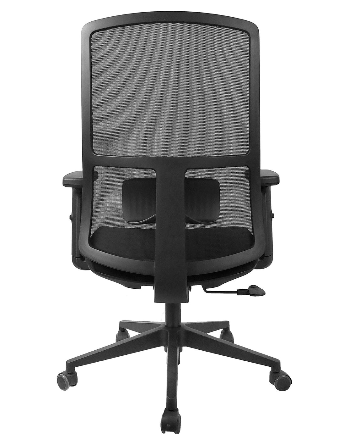 Mars Ergonomic Mesh Office Chair