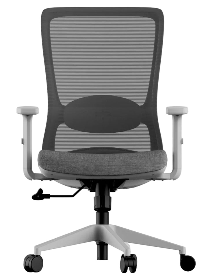 Novatex Mesh Ergonomic Gaslift Chair