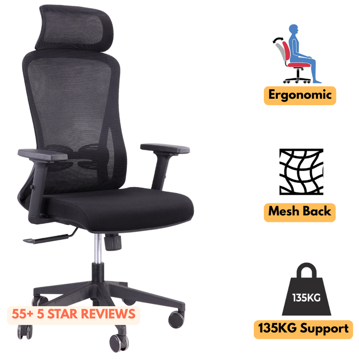 Alpha Ergonomic Gaslift Mesh Chair