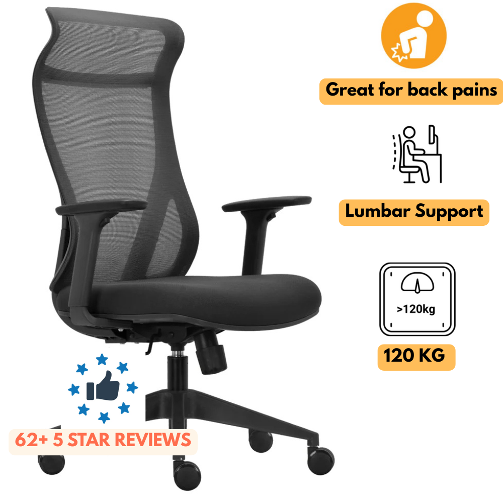 Everest Ergonomic Mesh Executive Office Chair