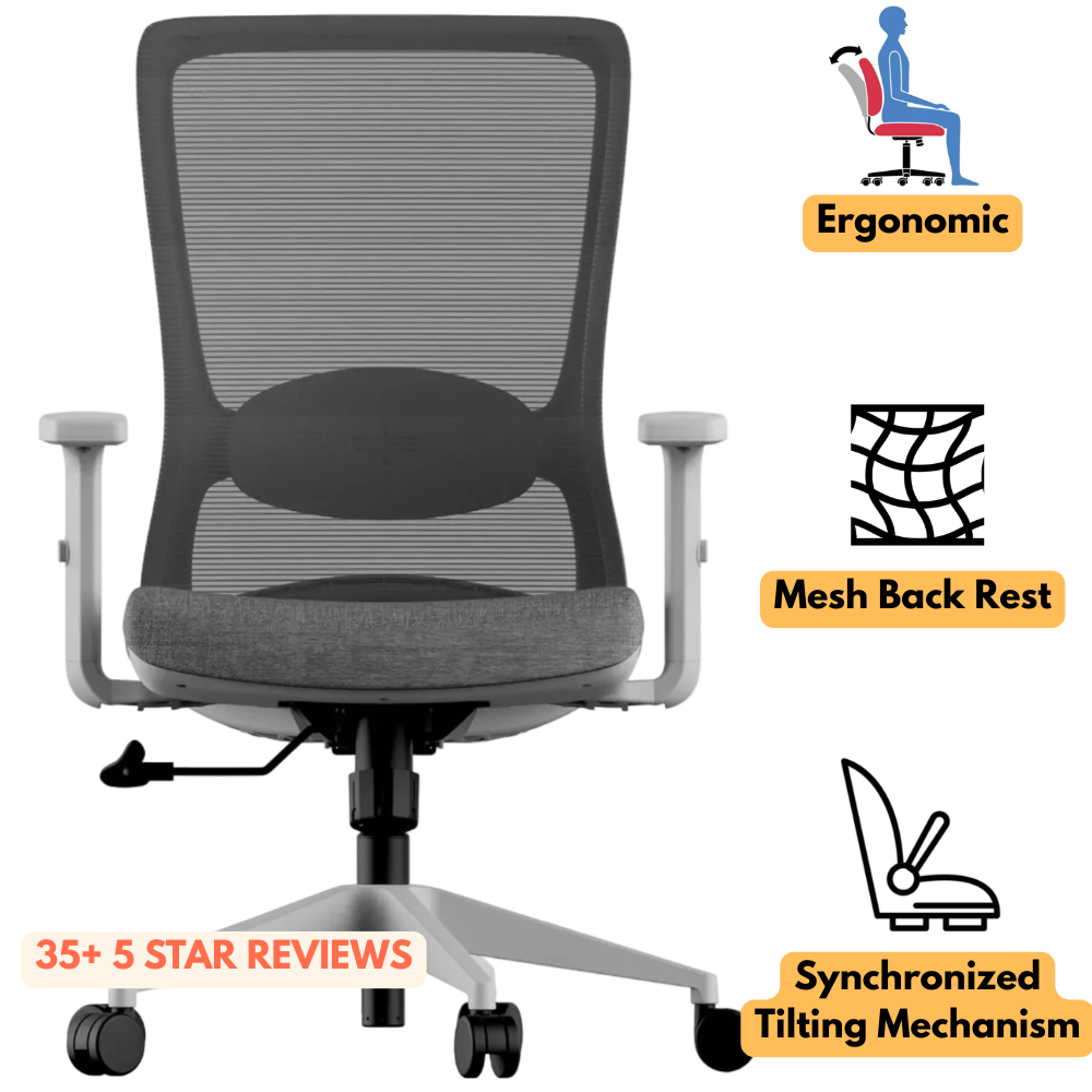 Novatex Mesh Ergonomic Gaslift Chair