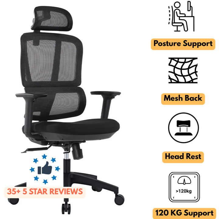 Paramount Executive Mesh Ergonomic Office Chair