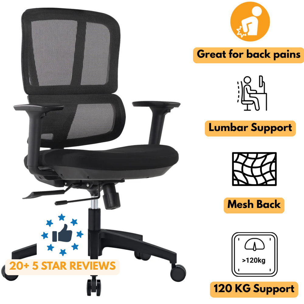 Paramount Manager Mesh Ergonomic Office Chair