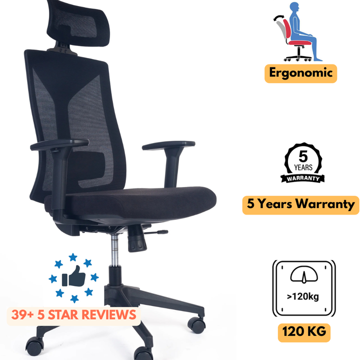 Phoenix Ergonomic Mesh Office Chair